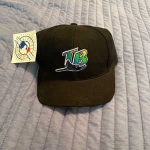 Tampa Bay Tays snap back hat